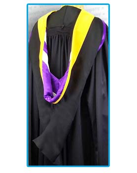 School of Health Professions Master Rental Gown with Hood - Click Image to Close